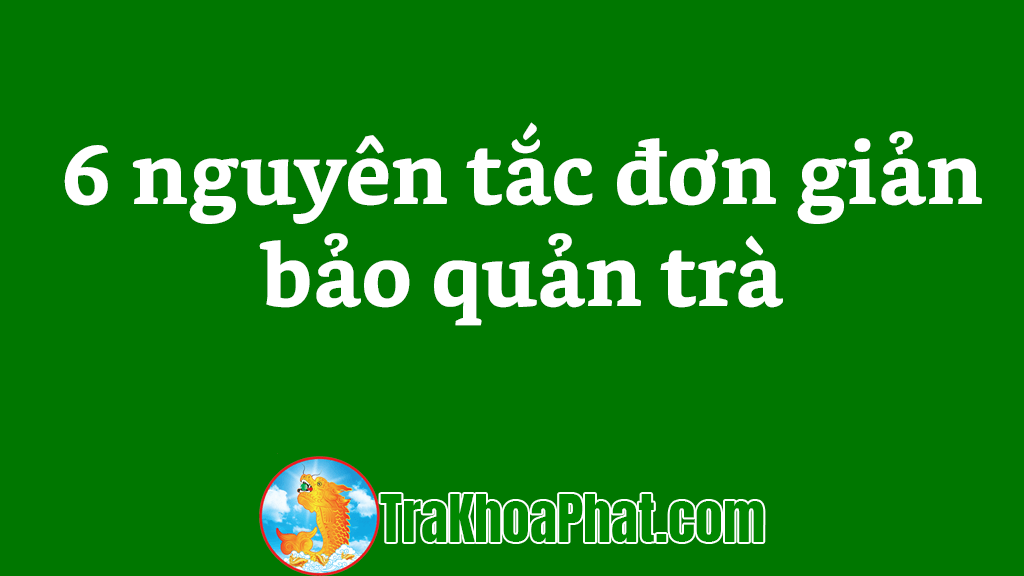 6 nguyên tắc đơn giản bảo quản trà